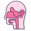 ENT Icon