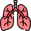 Pulmonologist Icon